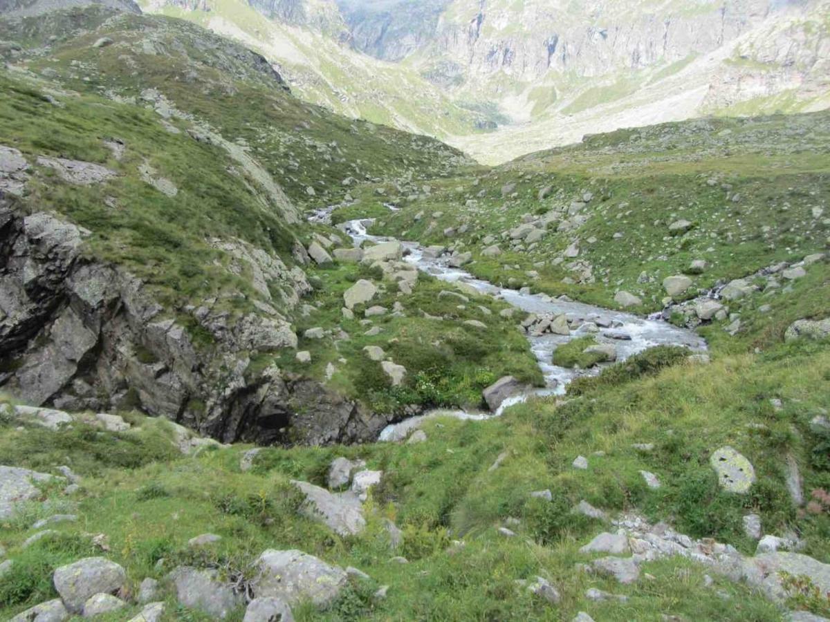 Bilocale A Due Passi Dal Gran Paradiso Locana Eksteriør bilde