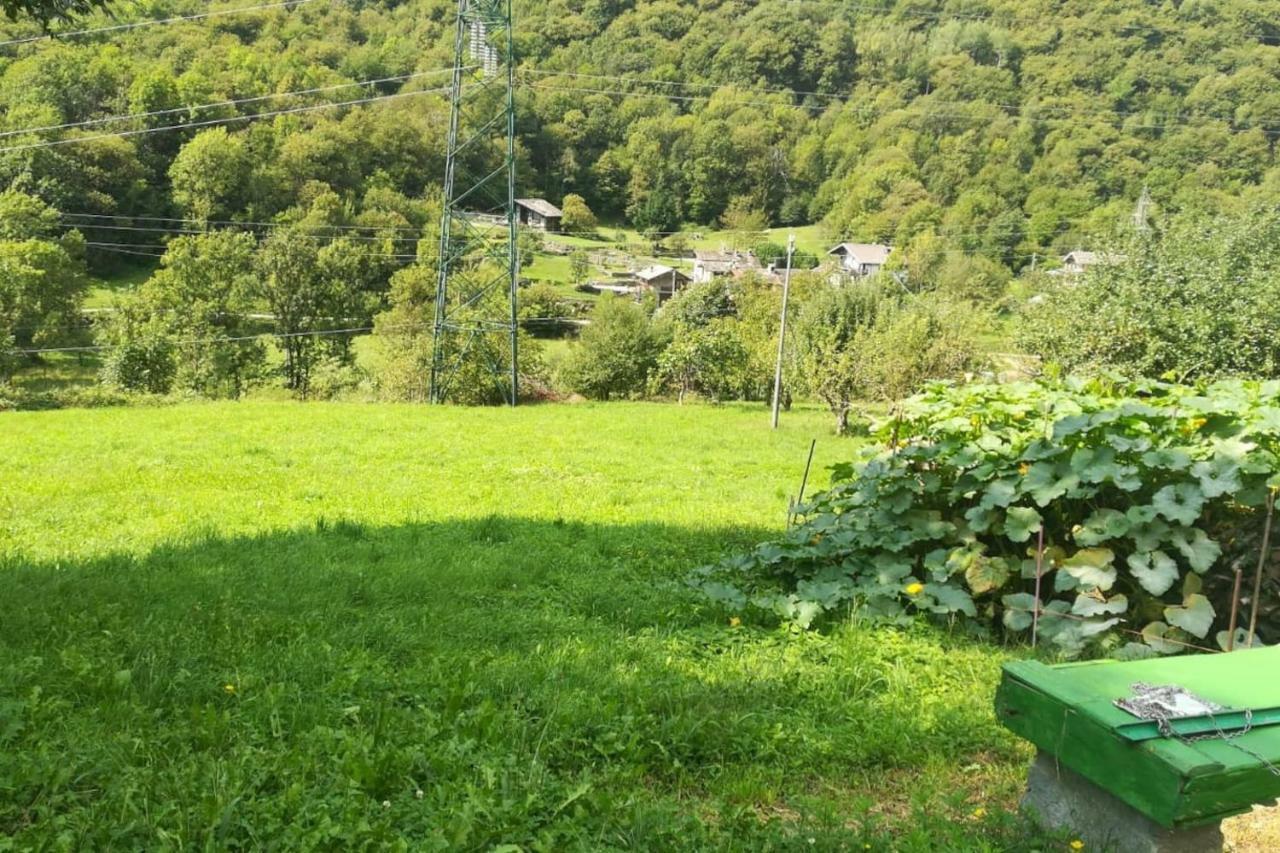 Bilocale A Due Passi Dal Gran Paradiso Locana Eksteriør bilde